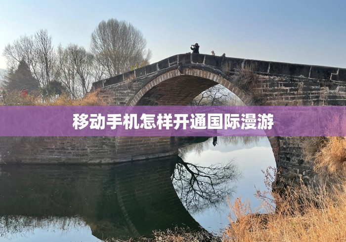 移动手机怎样开通国际漫游