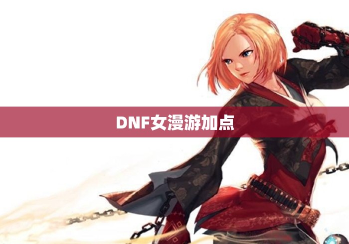 DNF女漫游加点 DNF女漫游加点