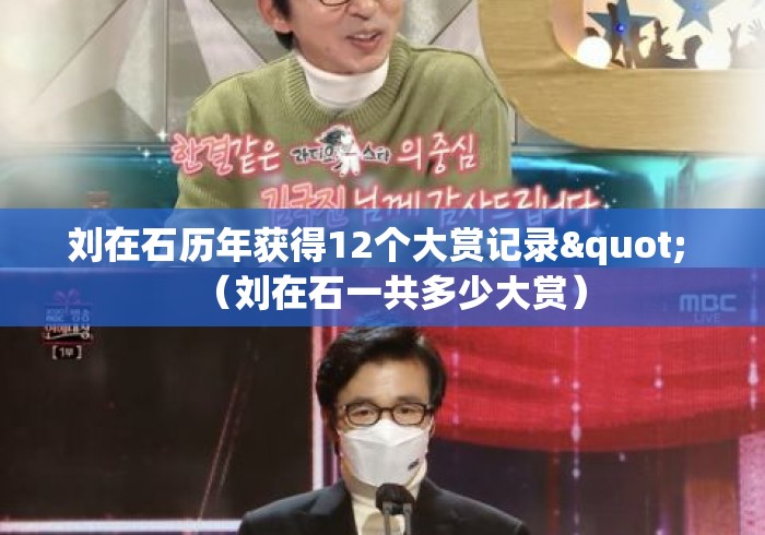 刘在石历年获得12个大赏记录" （刘在石一共多少大赏）