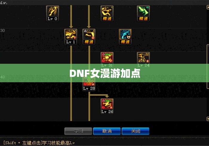 DNF女漫游加点 DNF女漫游加点