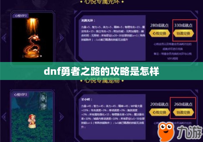 dnf勇者之路的攻略是怎样，DNF勇者之路全攻略，从入门到毕业的完整指南