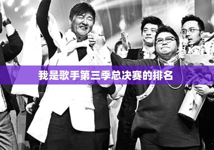 我是歌手第三季总决赛的排名 