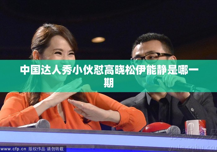 中国达人秀小伙怼高晓松伊能静是哪一期