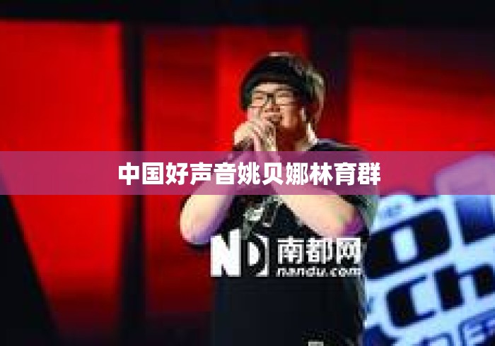 中国好声音姚贝娜林育群