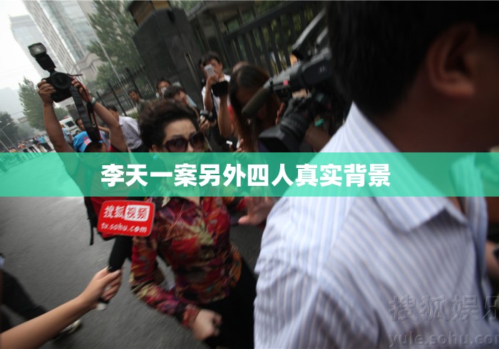 李天一案另外四人真实背景 李天一案另外四人真实背景