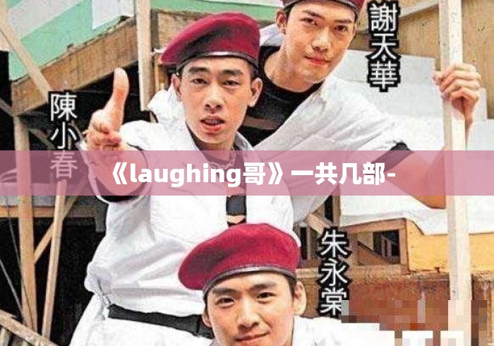 《laughing哥》一共几部-