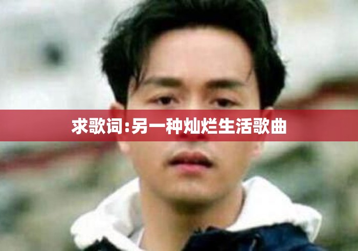 求歌词:另一种灿烂生活歌曲