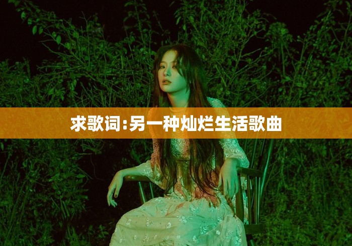 求歌词:另一种灿烂生活歌曲