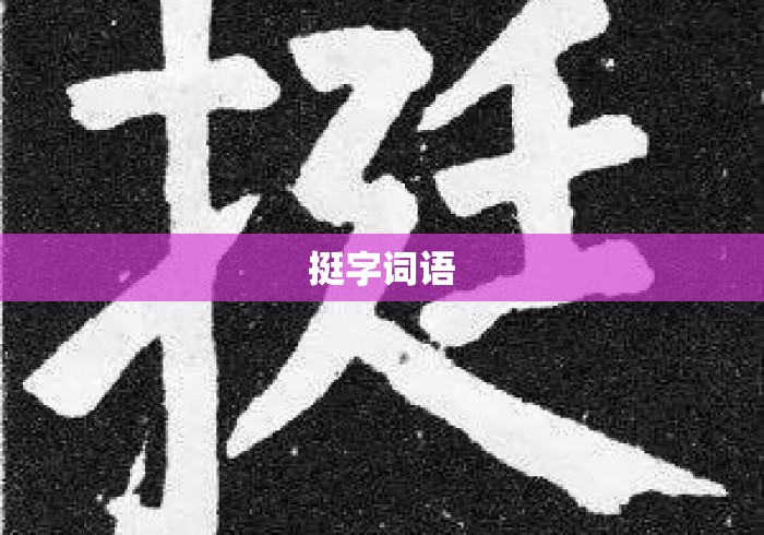 挺字词语