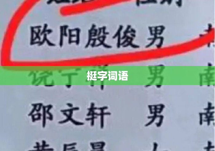 挺字词语