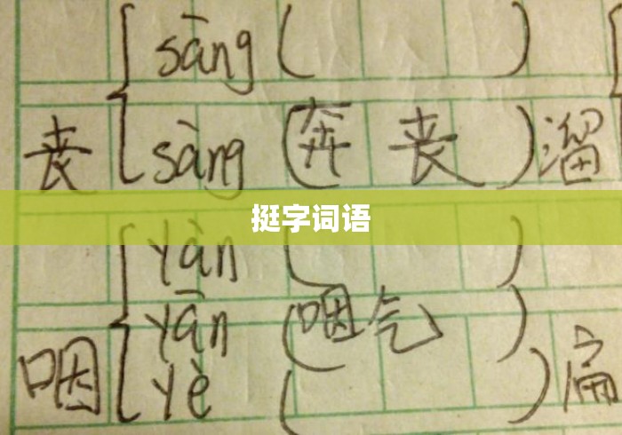 挺字词语
