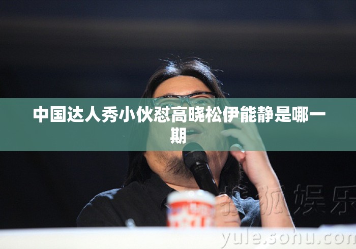 中国达人秀小伙怼高晓松伊能静是哪一期