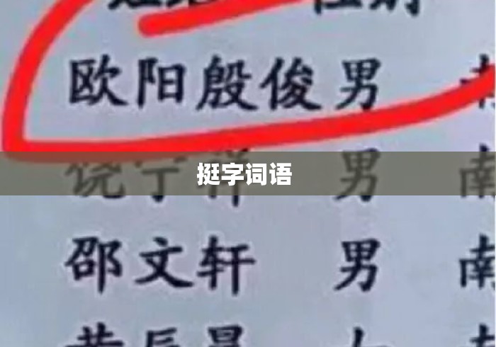 挺字词语 