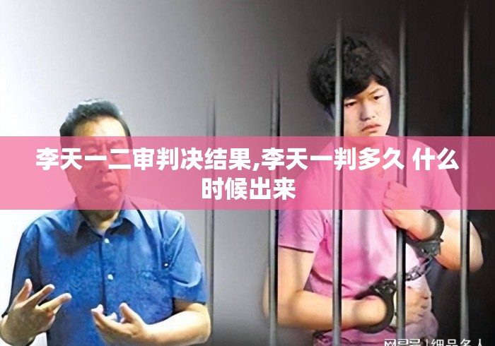 李天一二审判决结果,李天一判多久 什么时候出来
