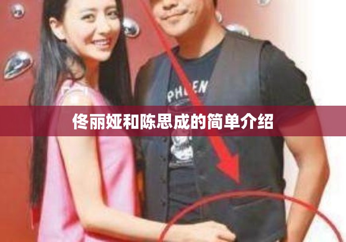 佟丽娅和陈思成的简单介绍