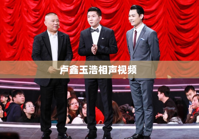 卢鑫玉浩相声视频 