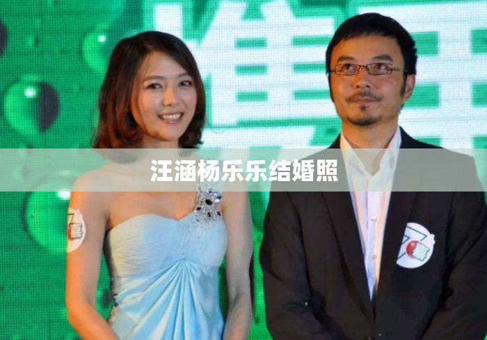 汪涵杨乐乐结婚照
