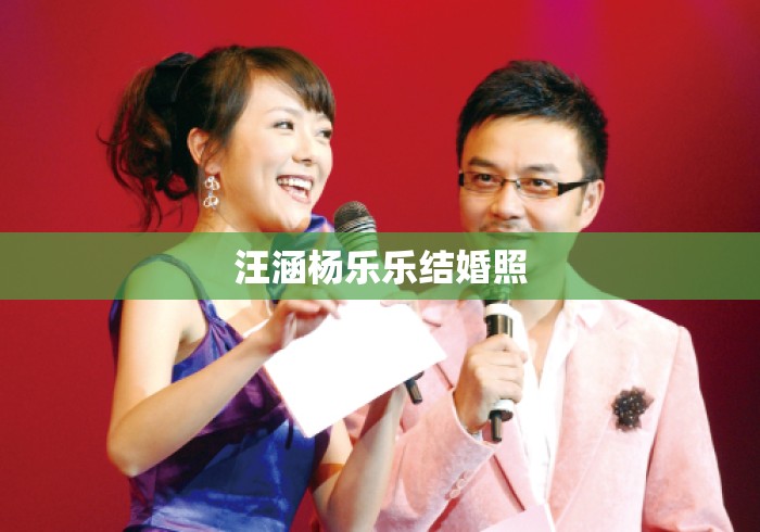 汪涵杨乐乐结婚照