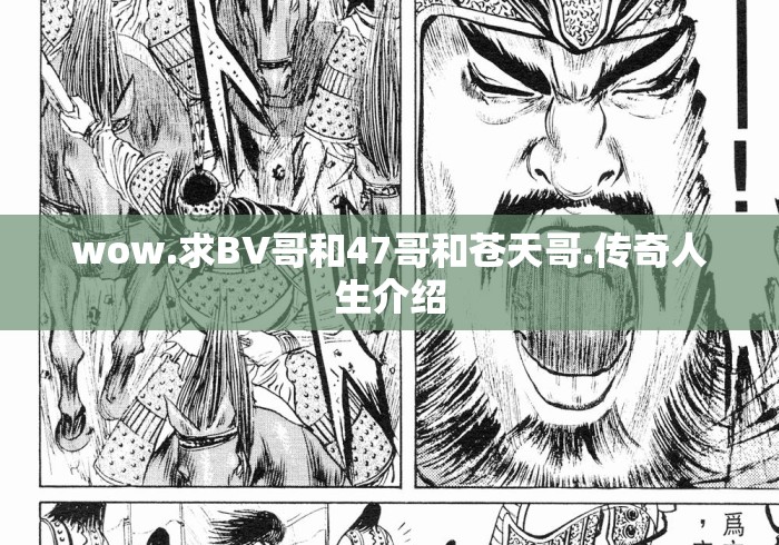 wow.求BV哥和47哥和苍天哥.传奇人生介绍