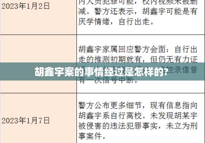 胡鑫宇案的事情经过是怎样的? 