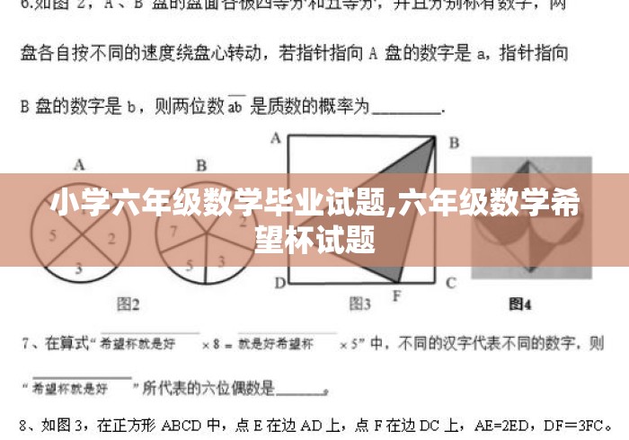 小学六年级数学毕业试题,六年级数学希望杯试题 小学六年级数学毕业试题,六年级数学希望杯试题