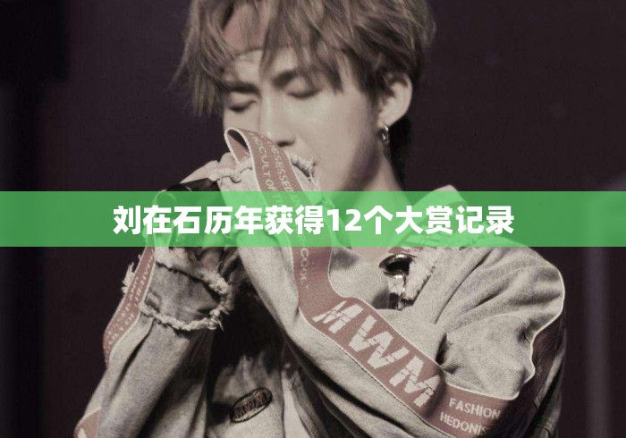 刘在石历年获得12个大赏记录