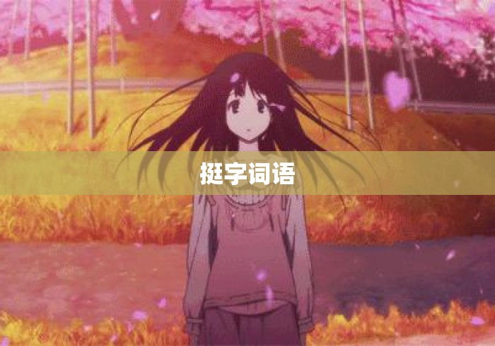 挺字词语