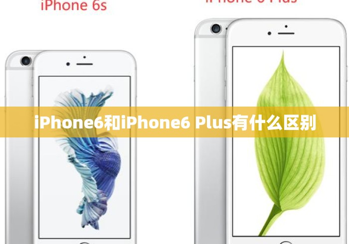 iPhone6和iPhone6 Plus有什么区别 iPhone6和iPhone6 Plus有什么区别