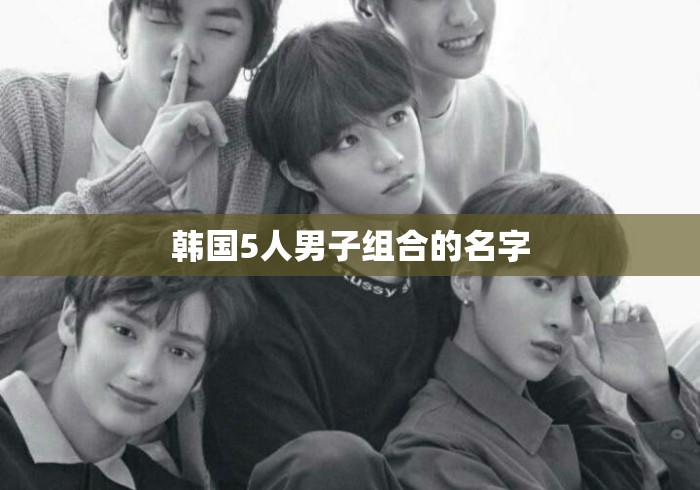 韩国5人男子组合的名字