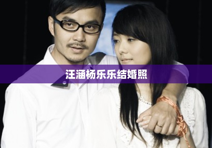 汪涵杨乐乐结婚照