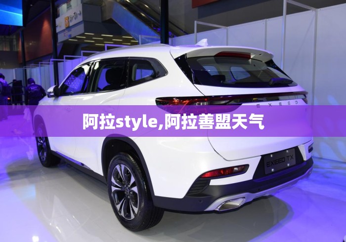 阿拉style,阿拉善盟天气