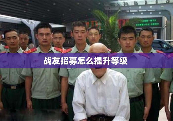 战友招募怎么提升等级 