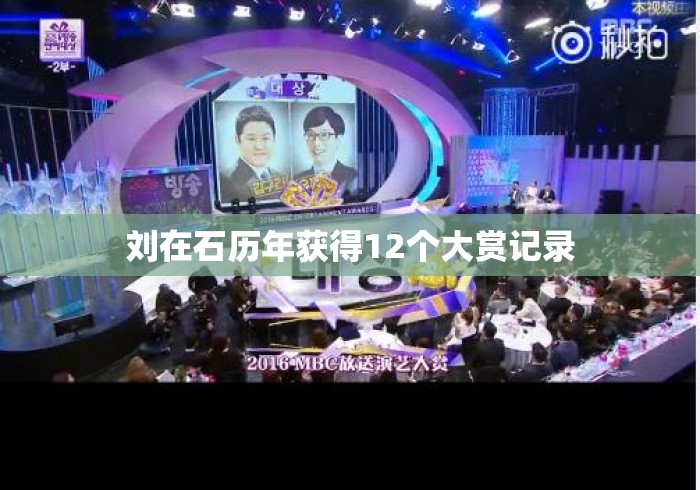 刘在石历年获得12个大赏记录