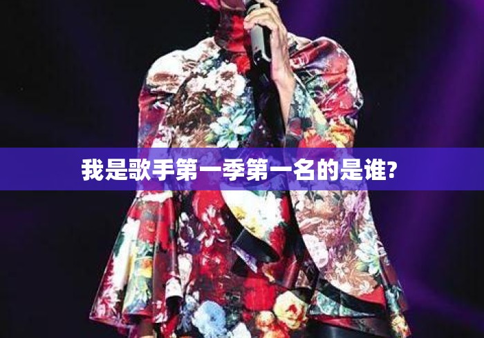 我是歌手第一季第一名的是谁? 