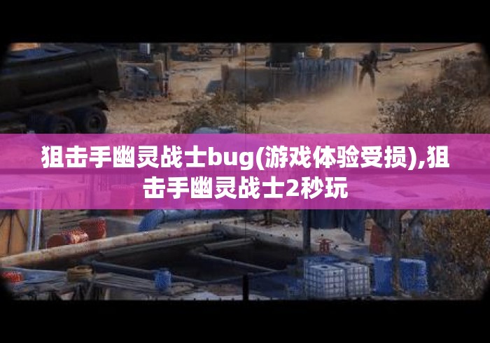 狙击手幽灵战士bug(游戏体验受损),狙击手幽灵战士2秒玩