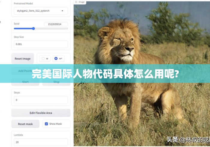 完美国际人物代码具体怎么用呢?