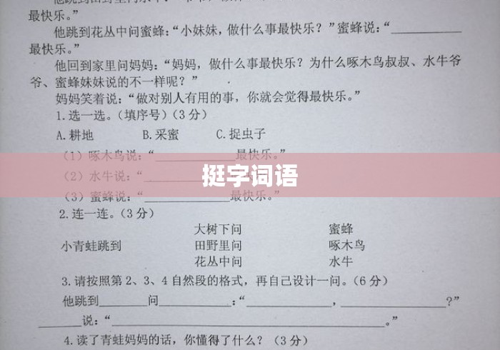 挺字词语