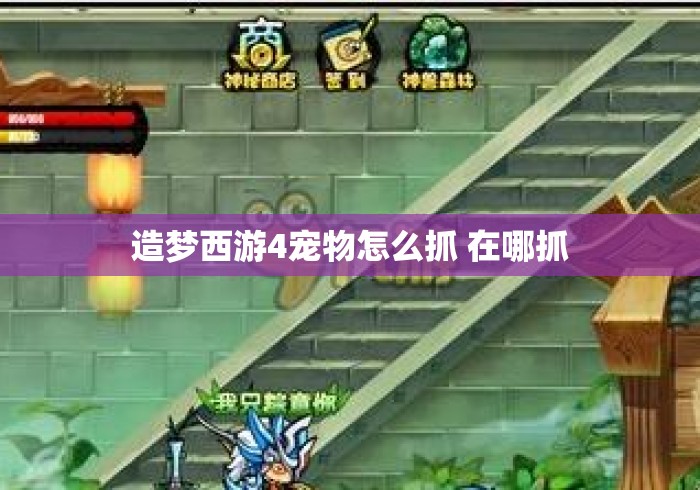 造梦西游4宠物怎么抓 在哪抓 造梦西游4宠物怎么抓 在哪抓