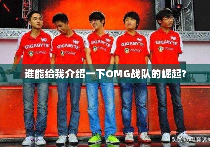 谁能给我介绍一下OMG战队的崛起? 谁能给我介绍一下OMG战队的崛起?