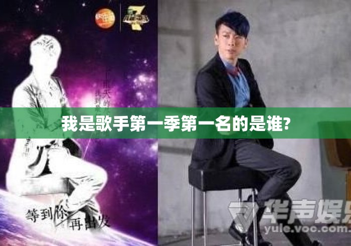我是歌手第一季第一名的是谁? 我是歌手第一季第一名的是谁?