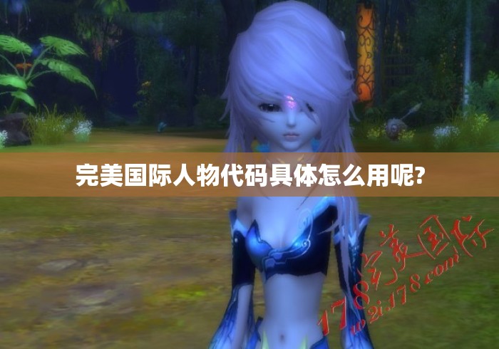 完美国际人物代码具体怎么用呢?