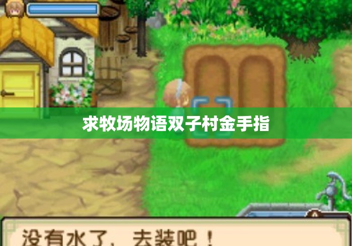 求牧场物语双子村金手指 求牧场物语双子村金手指
