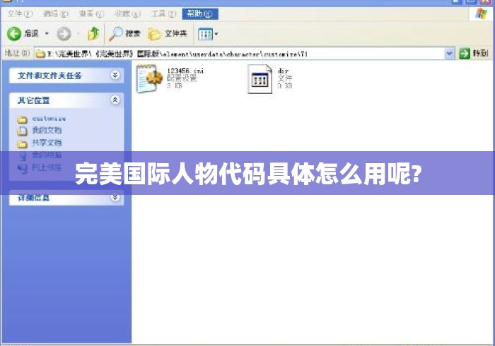 完美国际人物代码具体怎么用呢? 完美国际人物代码具体怎么用呢?