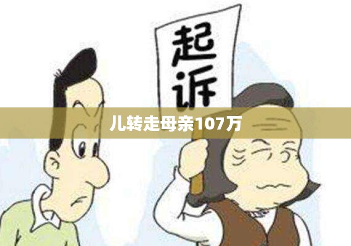 儿转走母亲107万