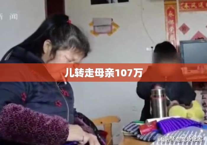 儿转走母亲107万