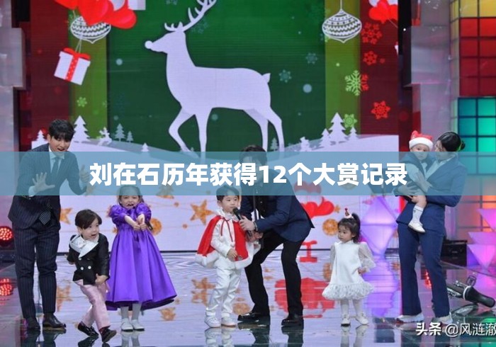 刘在石历年获得12个大赏记录