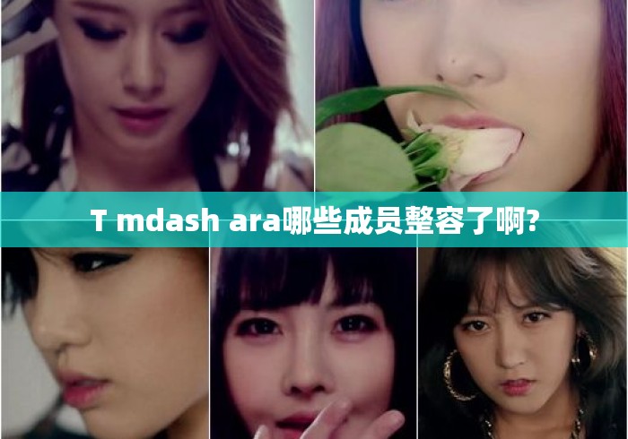 T mdash ara哪些成员整容了啊?