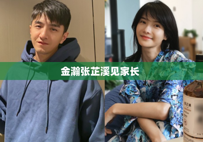金瀚张芷溪见家长 