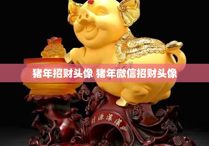猪年招财头像 猪年微信招财头像