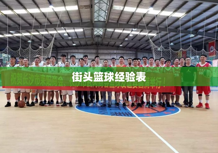 街头篮球经验表